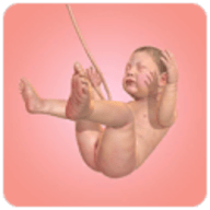 人类进化史 完整版